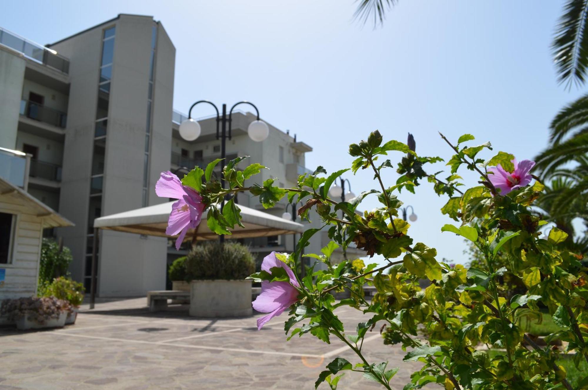 Residence Brezza Di Mare San Benedetto del Tronto Ngoại thất bức ảnh
